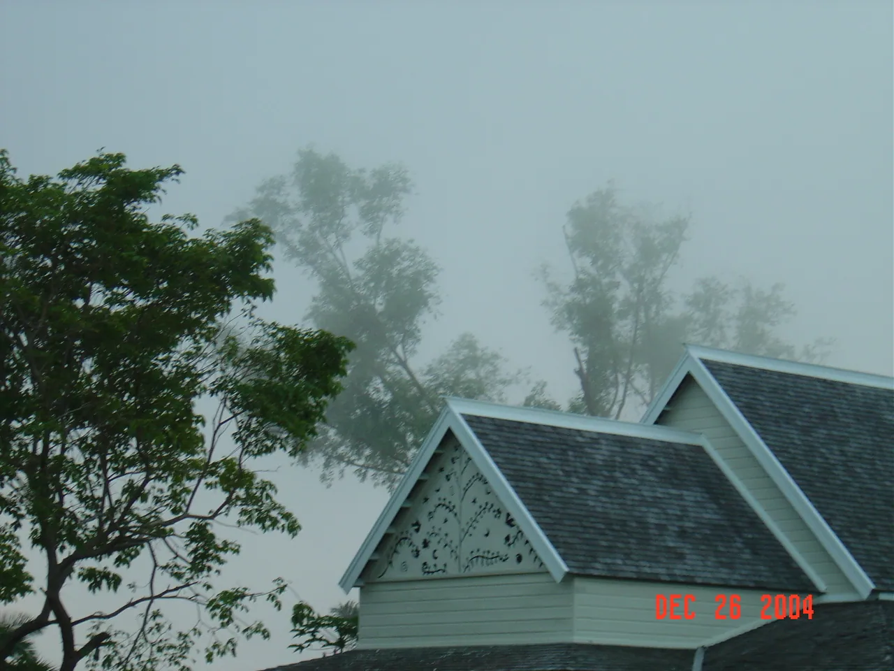 大事记 / Blue Mountain，DSC01993.JPG