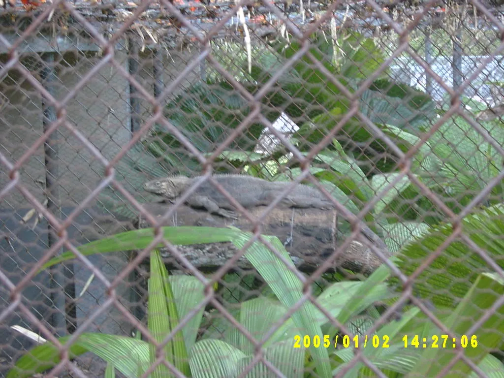 大事记 / Hope Garden&Hope Zoo，SV300550.JPG