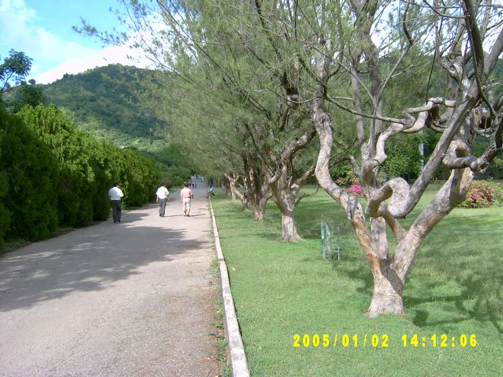 大事记 / Hope Garden&Hope Zoo，SV300530.JPG