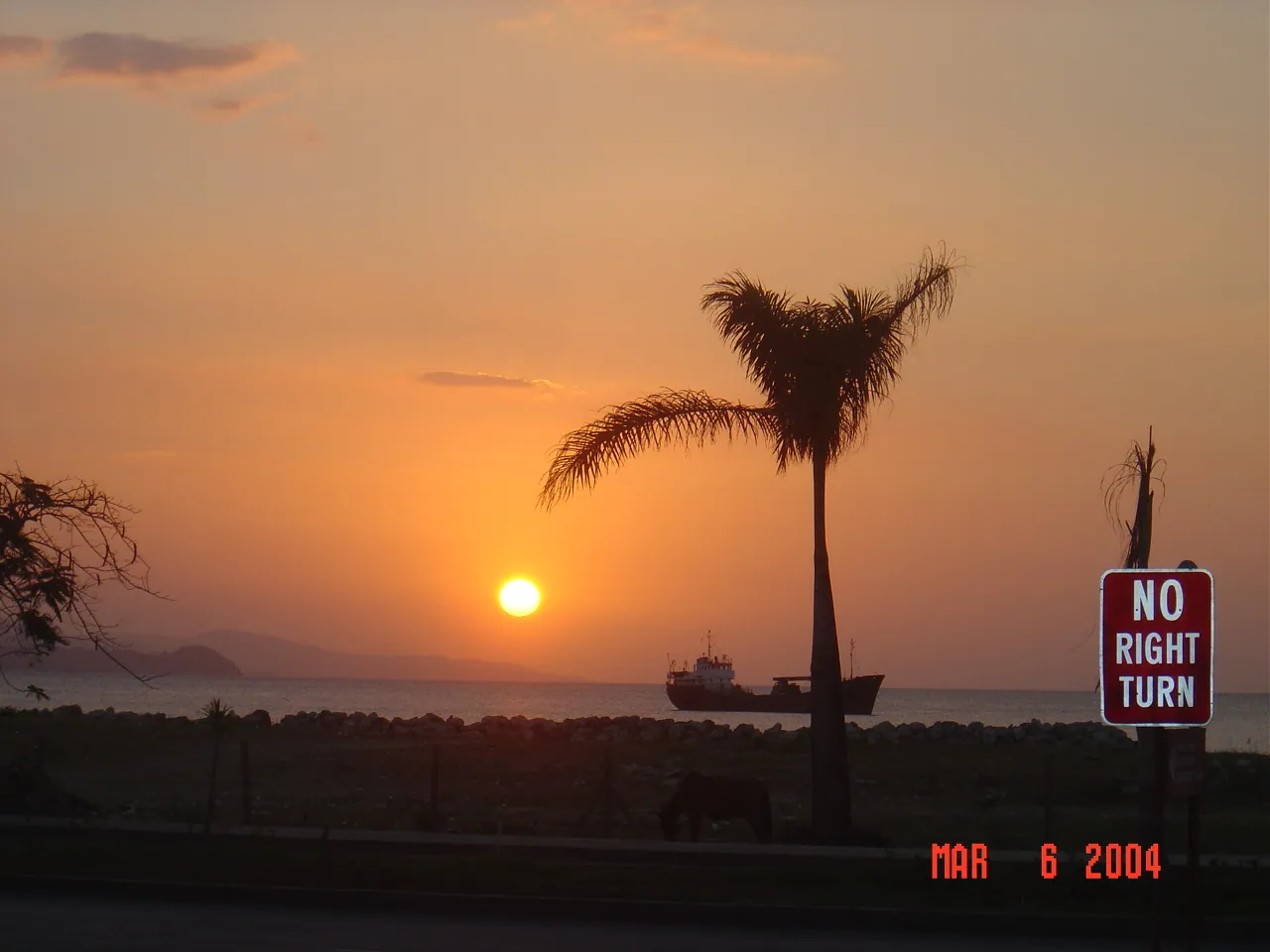 前期考察 / travel / MONTEGO BAY，DSC00455.JPG
