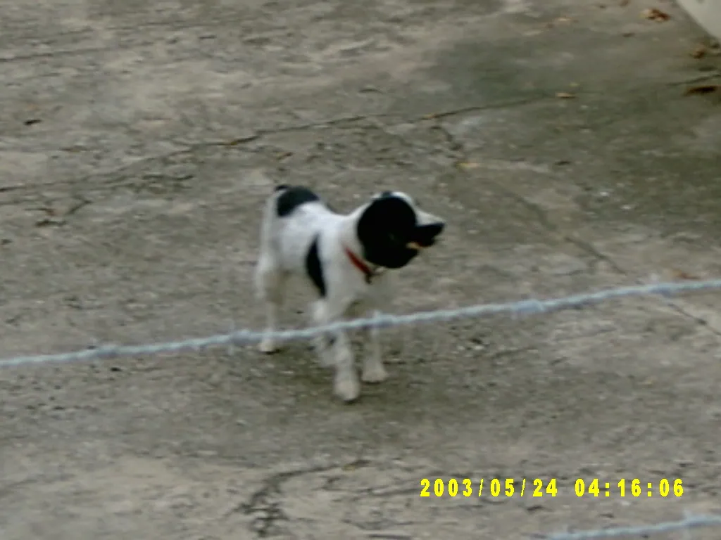 其他，SV300018.JPG