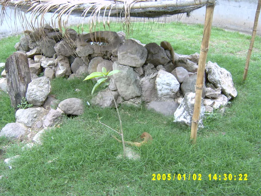 大事记 / Hope Garden&Hope Zoo，SV300557.JPG
