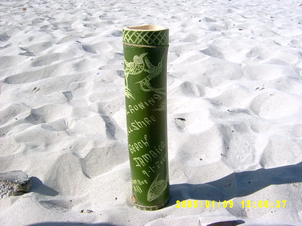 小事记 / 爱尔沙Beach，SV300700.JPG