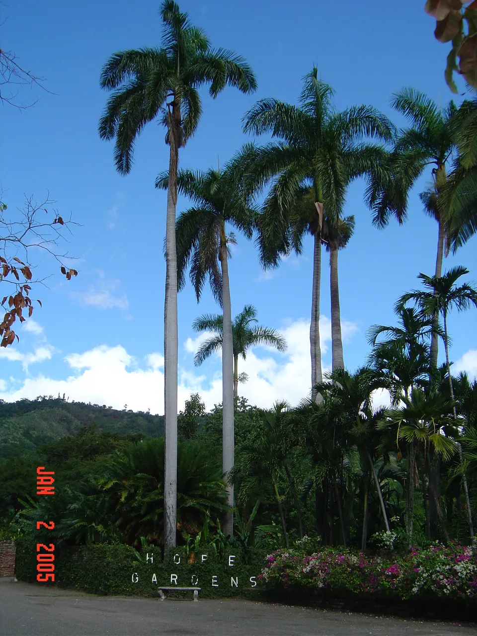 大事记 / Hope Garden&Hope Zoo，DSC02019.JPG