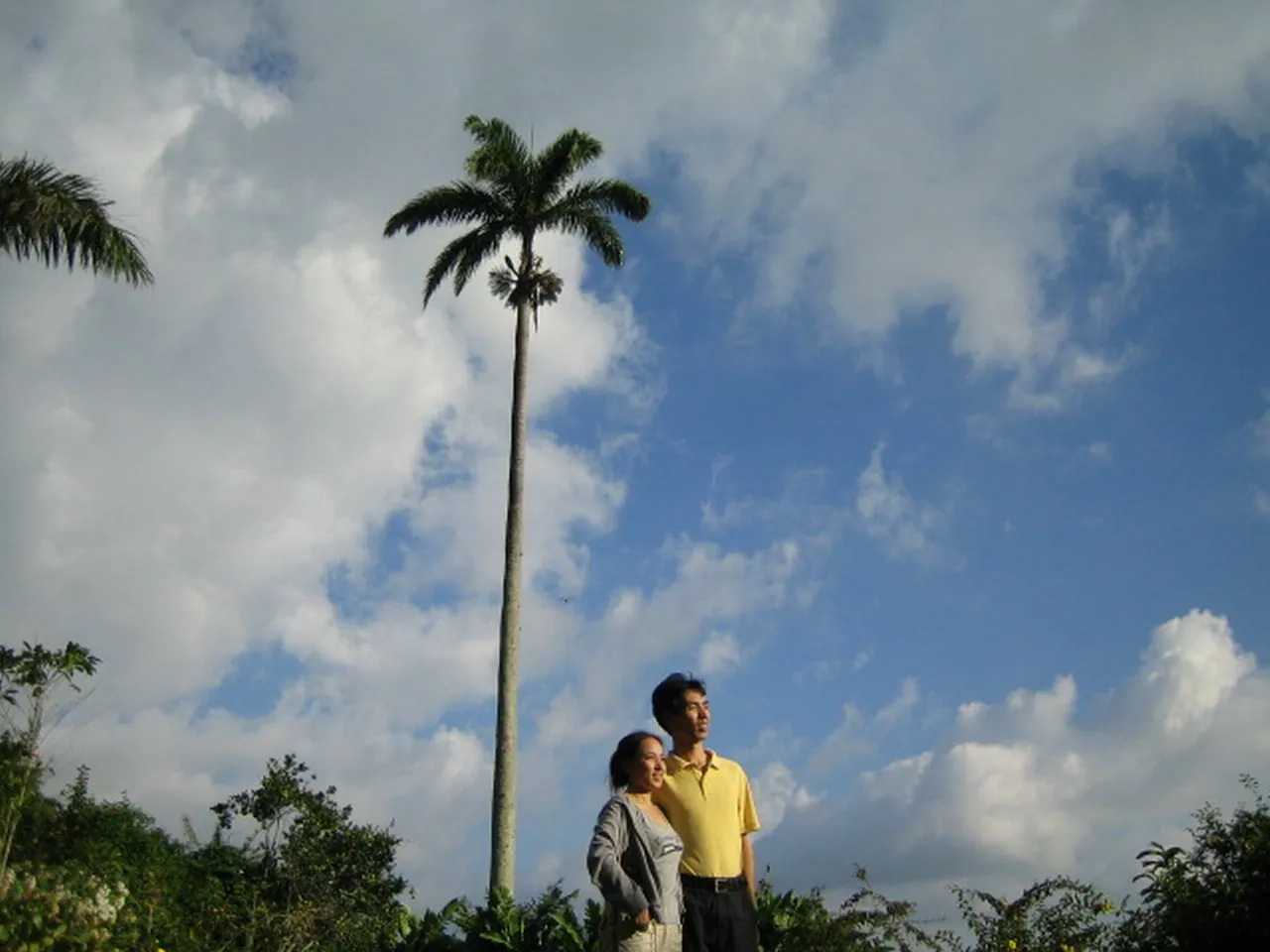 大事记 / Blue Mountain，IMG_1453.jpg