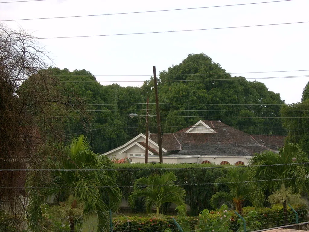 小事记 / Photos In the Jamaica，SV300013.JPG