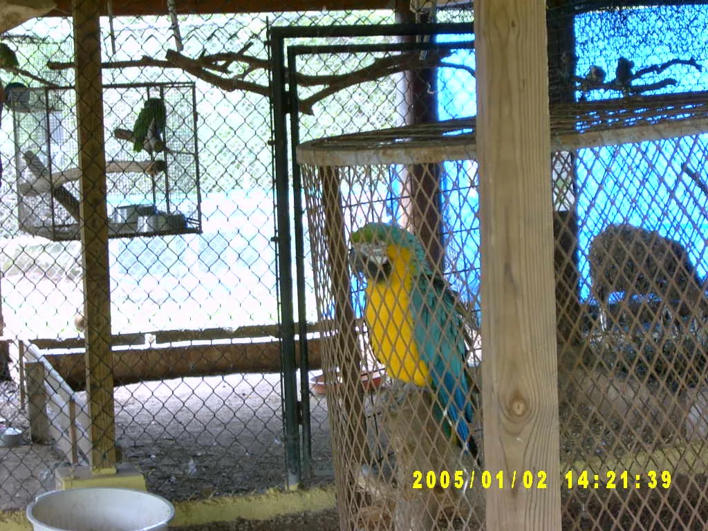 大事记 / Hope Garden&Hope Zoo，SV300538.JPG