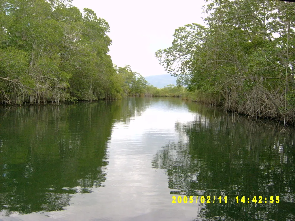 大事记 / 黑河，SV301382.JPG
