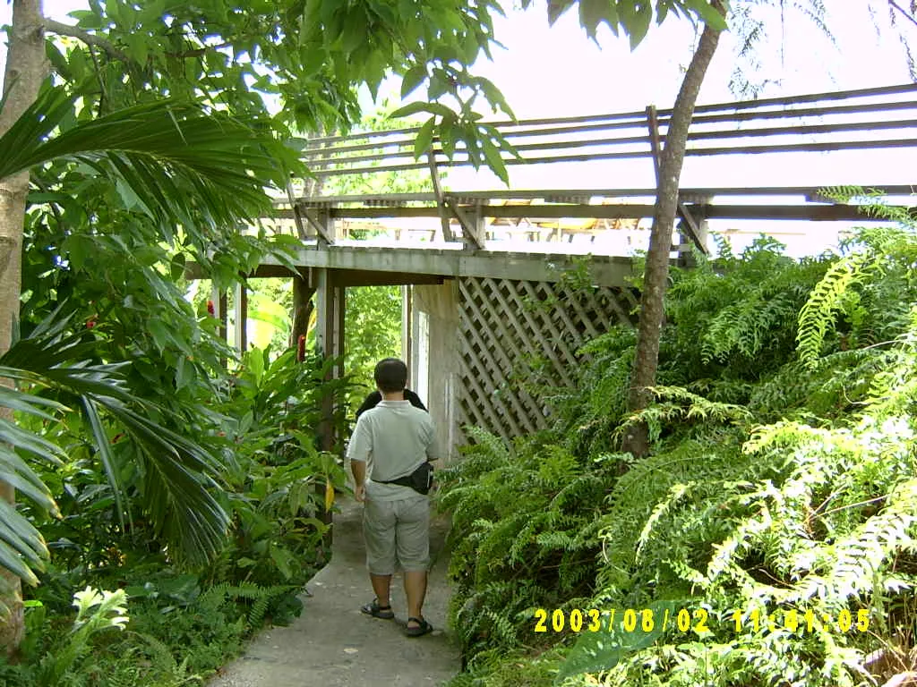 大事记 / Blue Mountain，SV300026.JPG