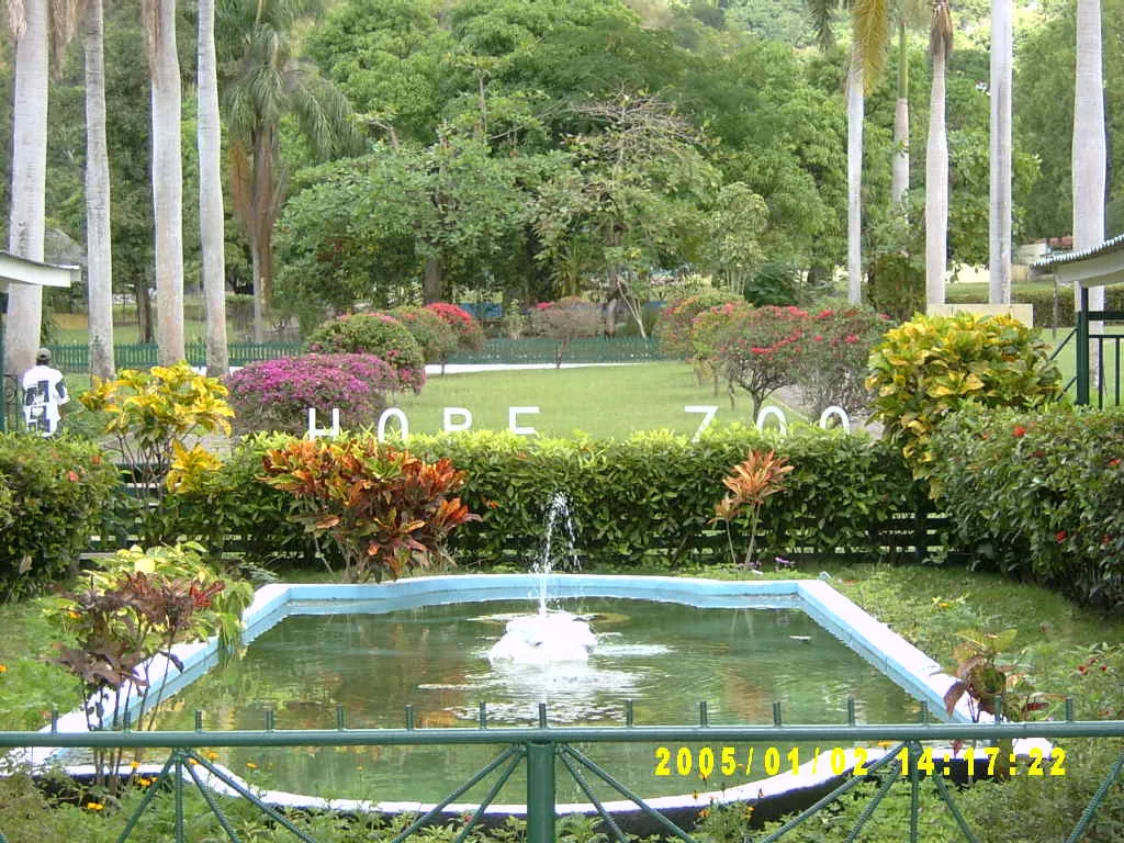 大事记 / Hope Garden&Hope Zoo，SV300534.JPG