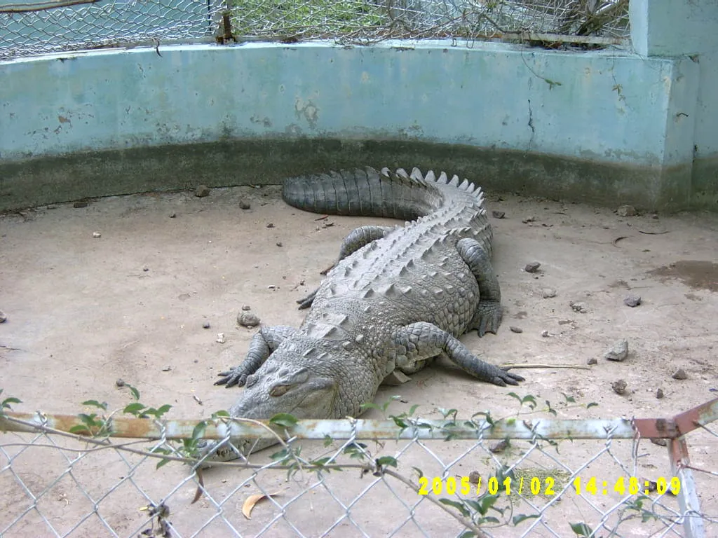 大事记 / Hope Garden&Hope Zoo，SV300583.JPG