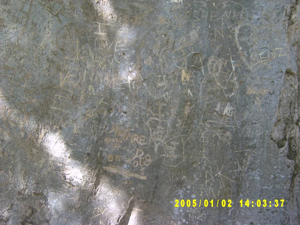 大事记 / Hope Garden&Hope Zoo，SV300514.JPG