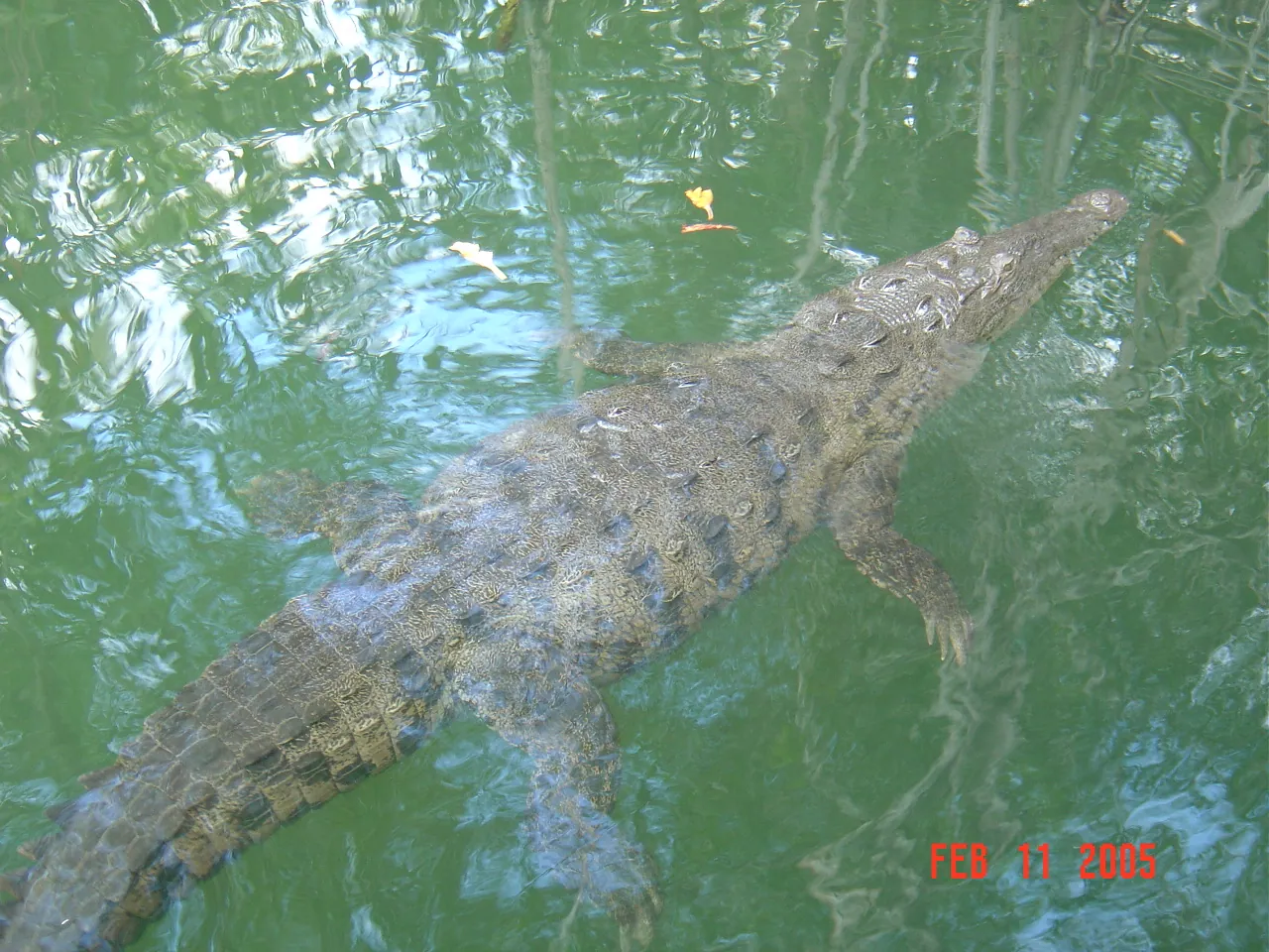大事记 / 黑河，DSC02322.JPG