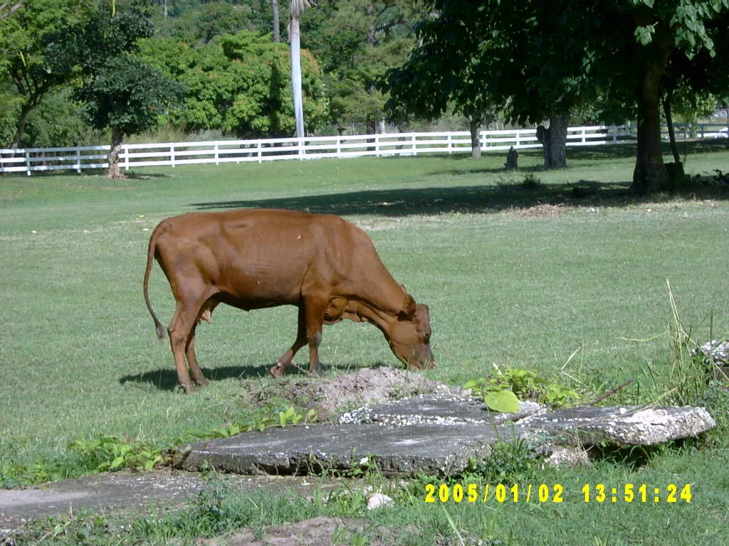 大事记 / Hope Garden&Hope Zoo，SV300495.JPG