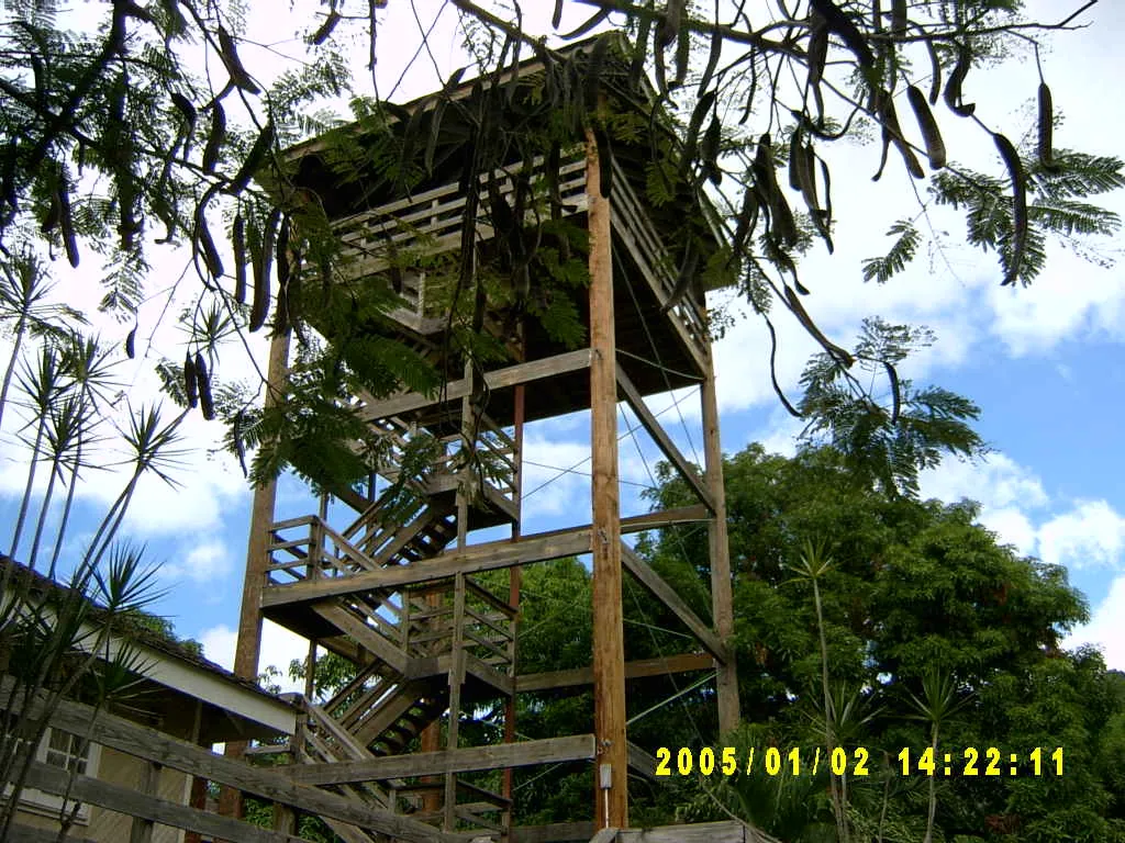 大事记 / Hope Garden&Hope Zoo，SV300540.JPG