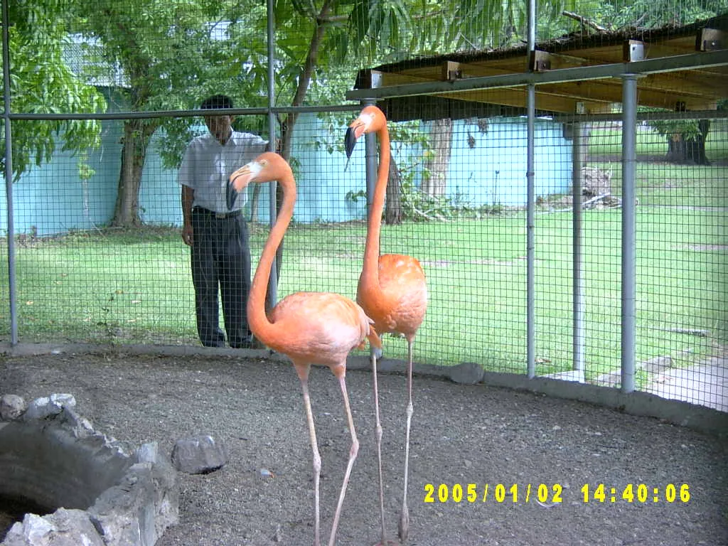 大事记 / Hope Garden&Hope Zoo，SV300569.JPG