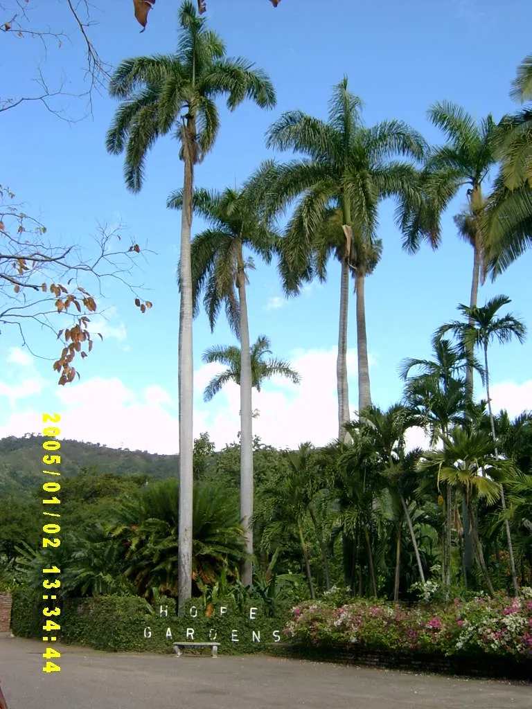 大事记 / Hope Garden&Hope Zoo，SV300466.JPG
