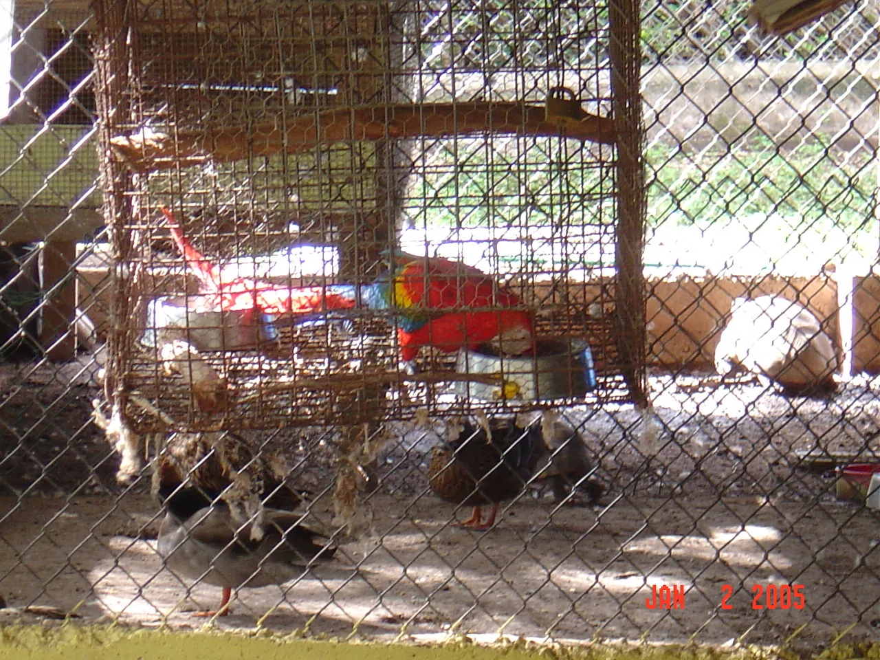 大事记 / Hope Garden&Hope Zoo，DSC02044.JPG