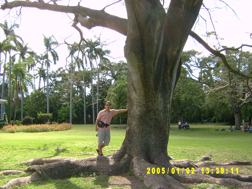 大事记 / Hope Garden&Hope Zoo，SV300477.JPG