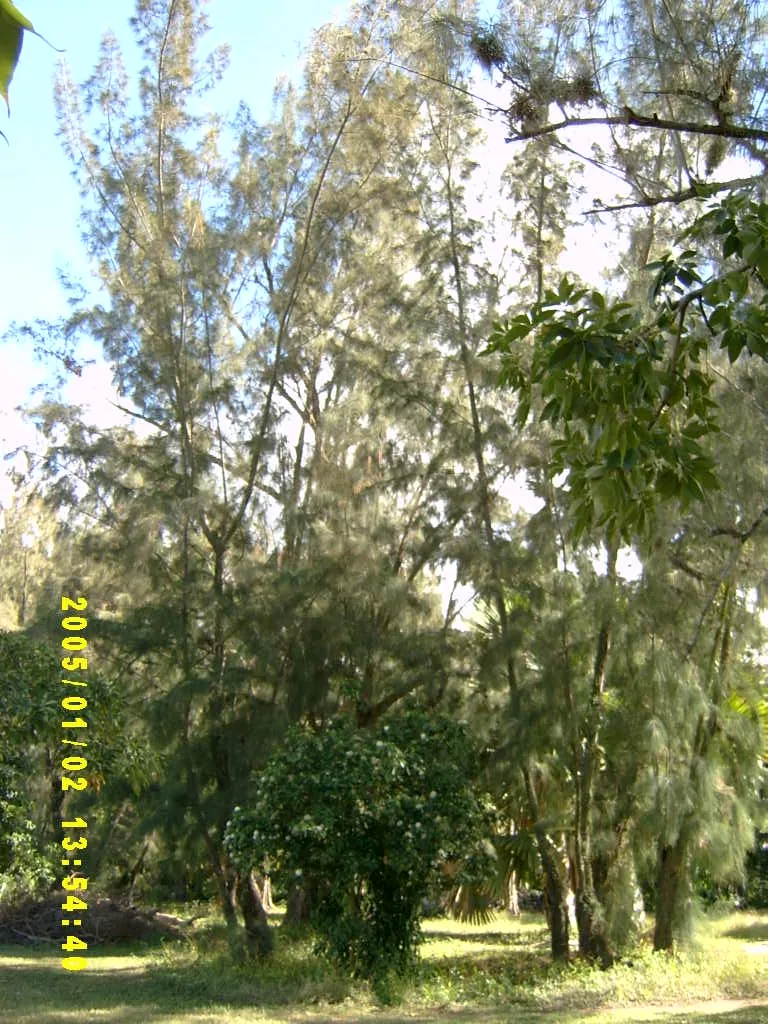 大事记 / Hope Garden&Hope Zoo，SV300499.JPG