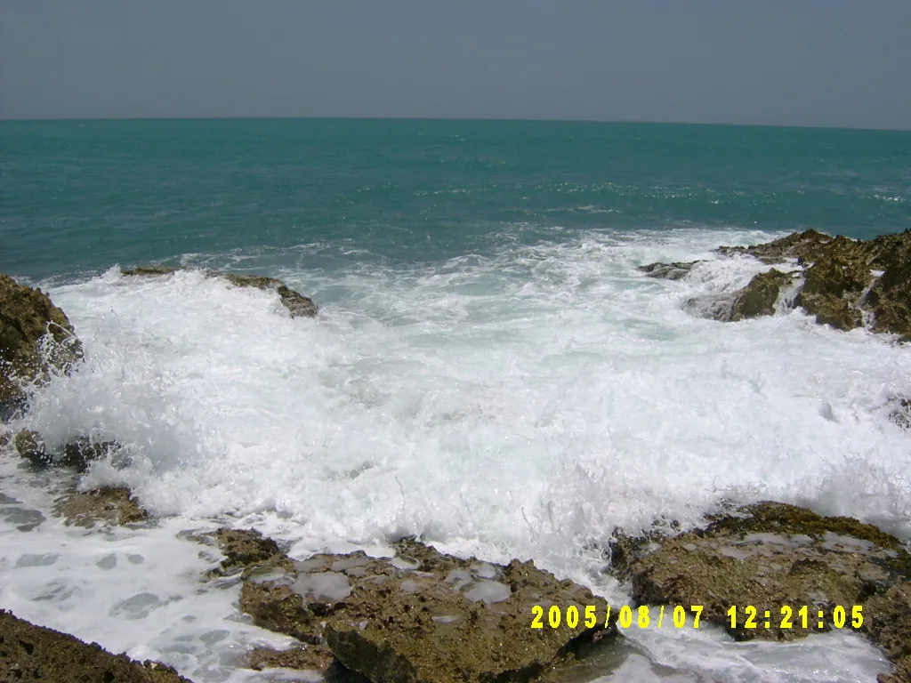 小事记 / 抓海螺，SV303164.JPG