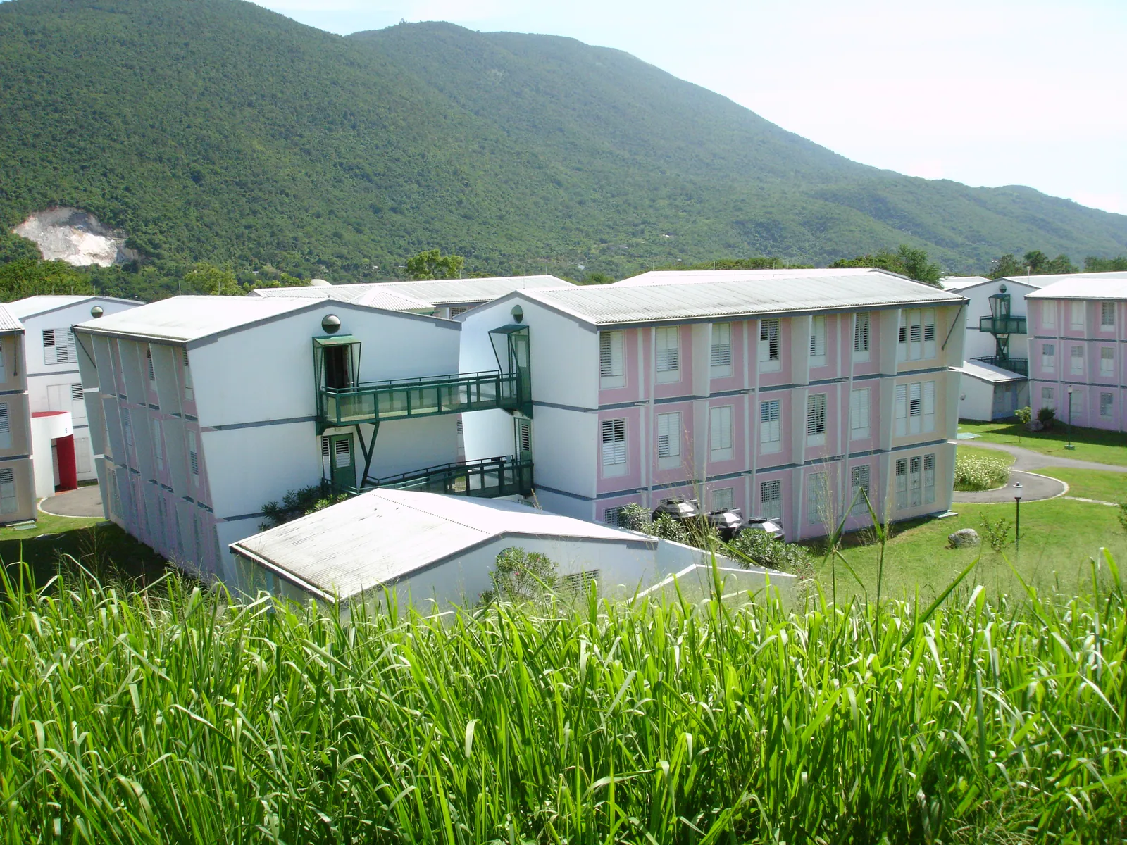 大事记 / 西印度大学（UWI），DSC01438.JPG