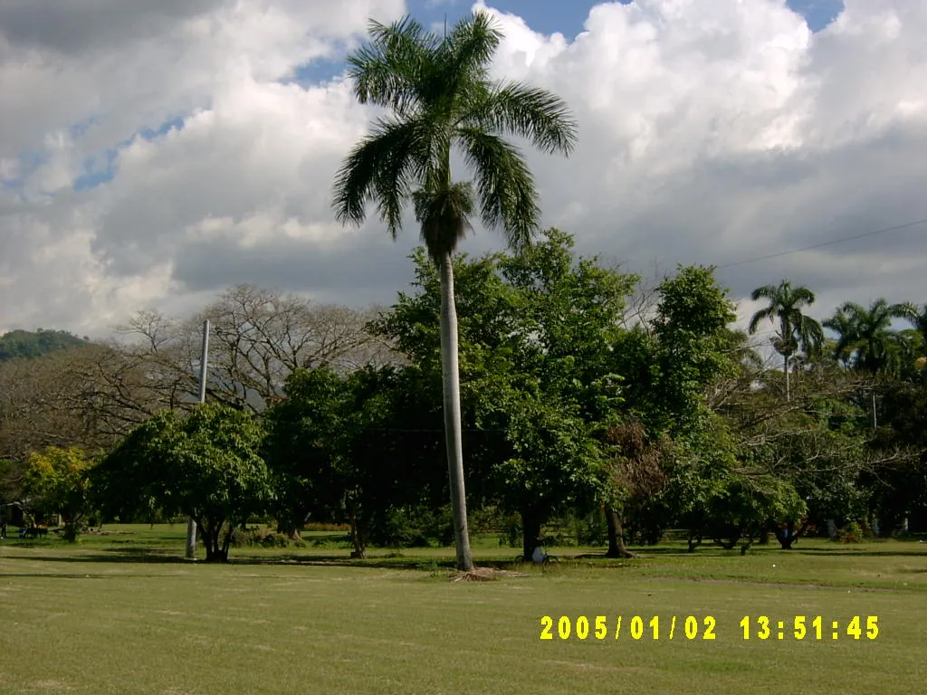 大事记 / Hope Garden&Hope Zoo，SV300496.JPG