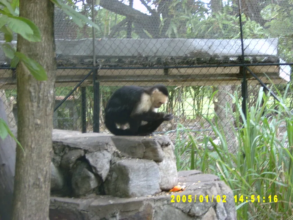 大事记 / Hope Garden&Hope Zoo，SV300592.JPG