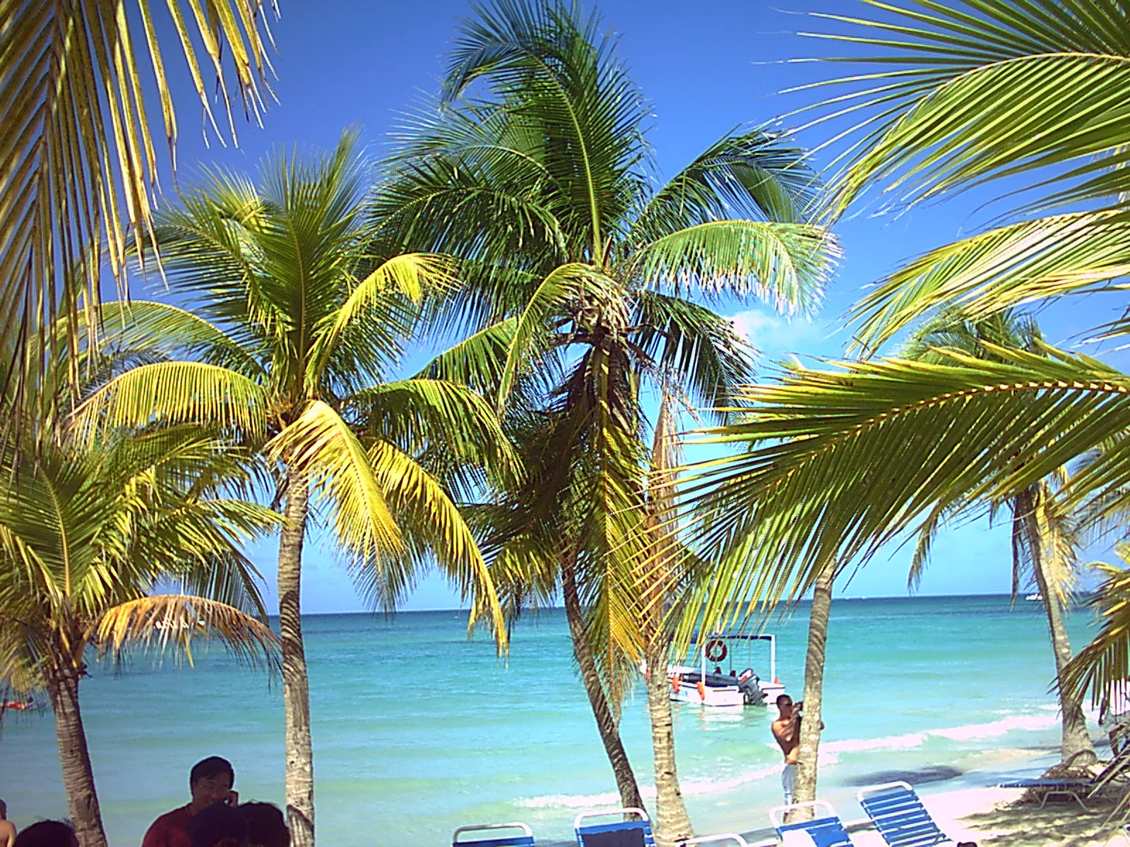 大事记 / Negril，negail 030.jpg