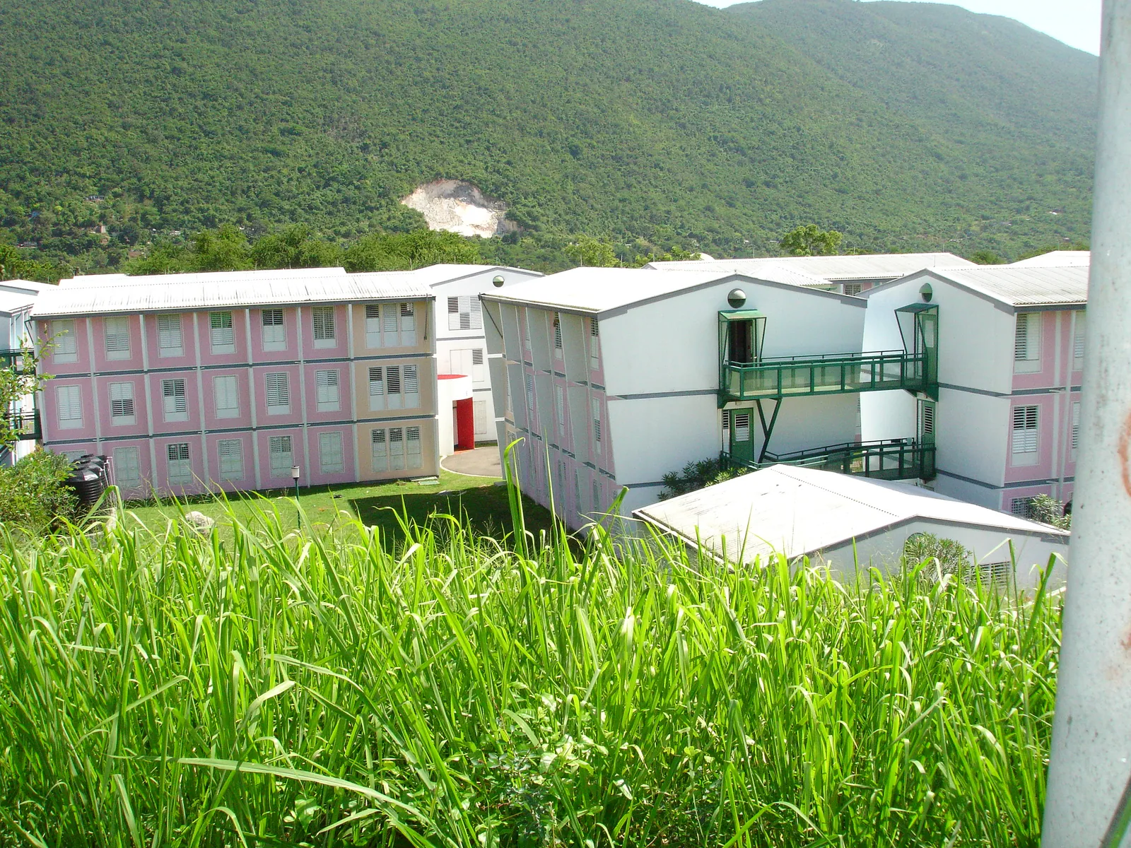 大事记 / 西印度大学（UWI），DSC01437.JPG