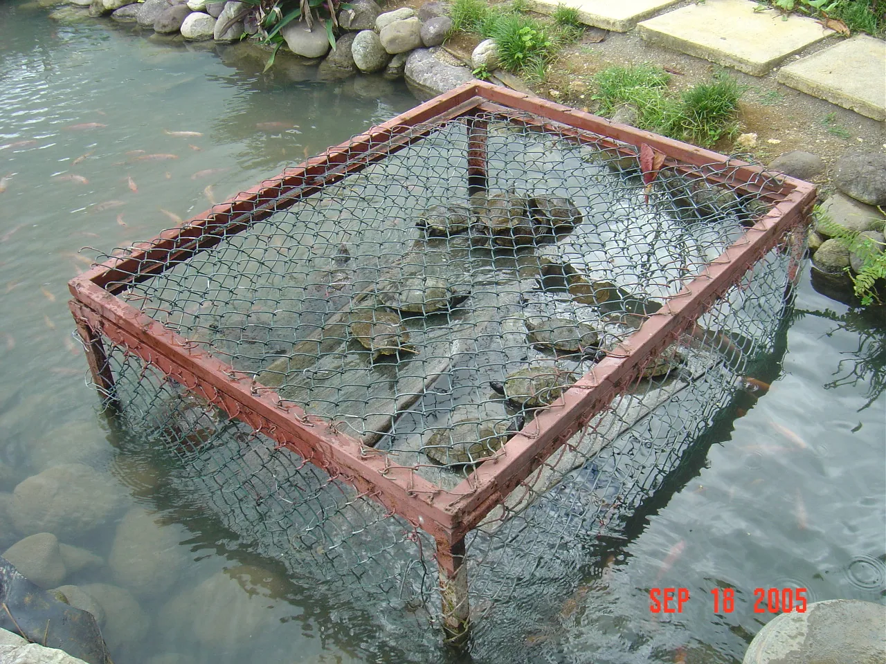 大事记 / 八条河，DSC02929.JPG
