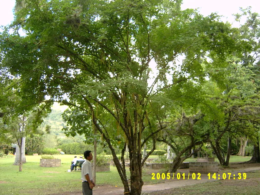 大事记 / Hope Garden&Hope Zoo，SV300519.JPG