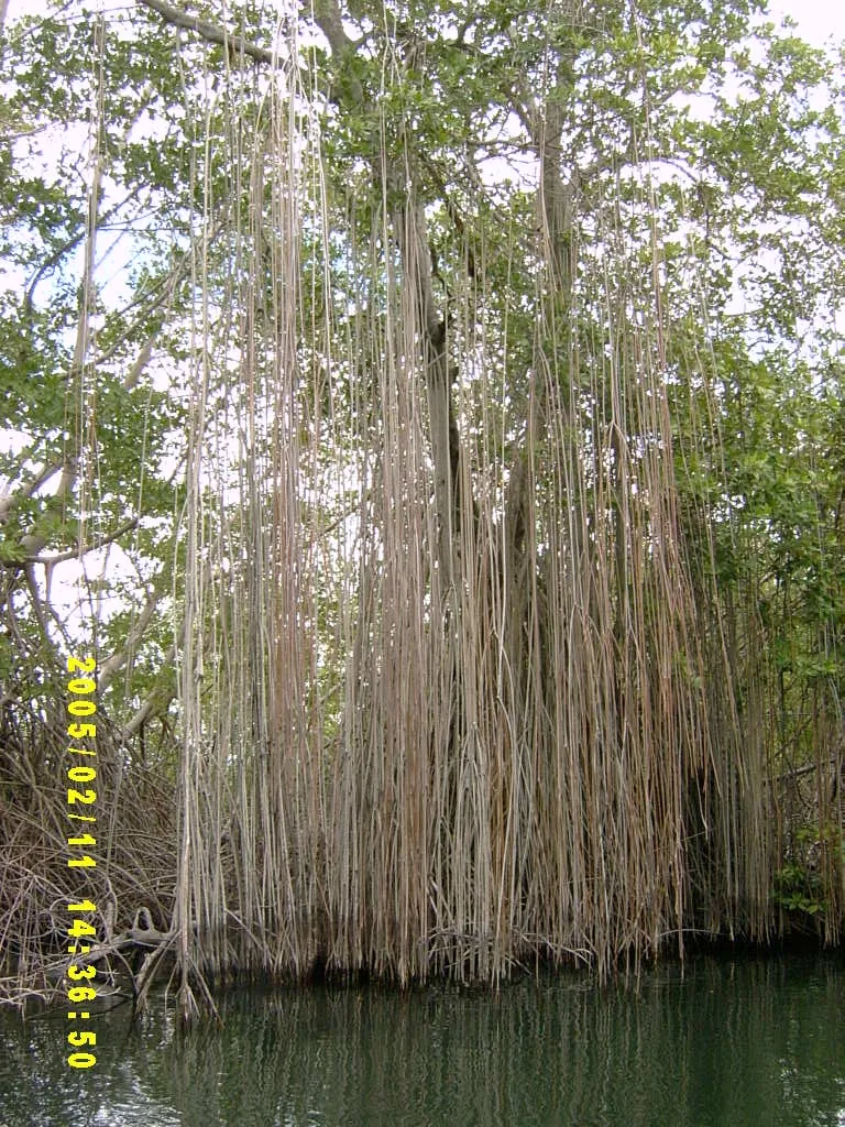 大事记 / 黑河，SV301367.JPG