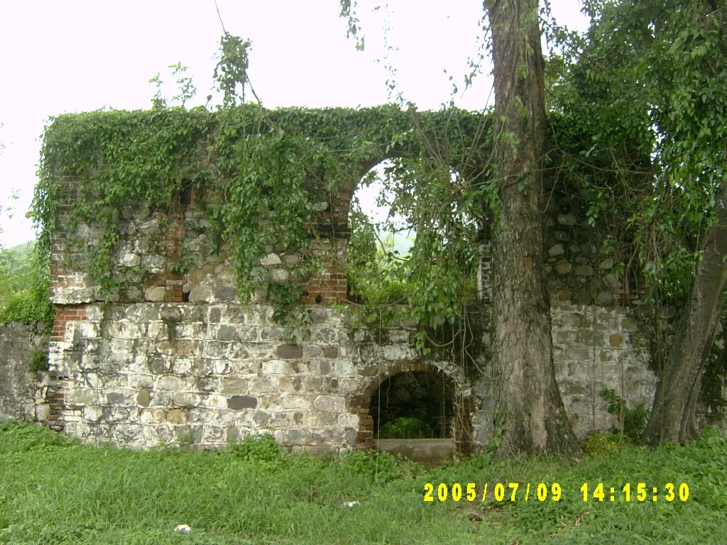 大事记 / 西印度大学（UWI），SV303053.JPG