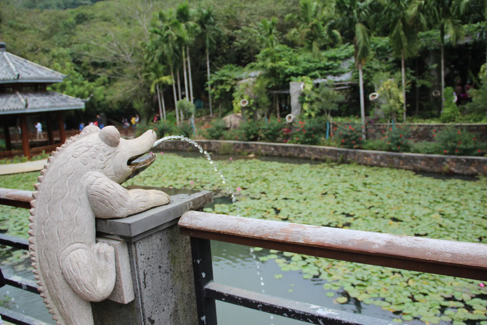 2016年12月29日旅行照片 3