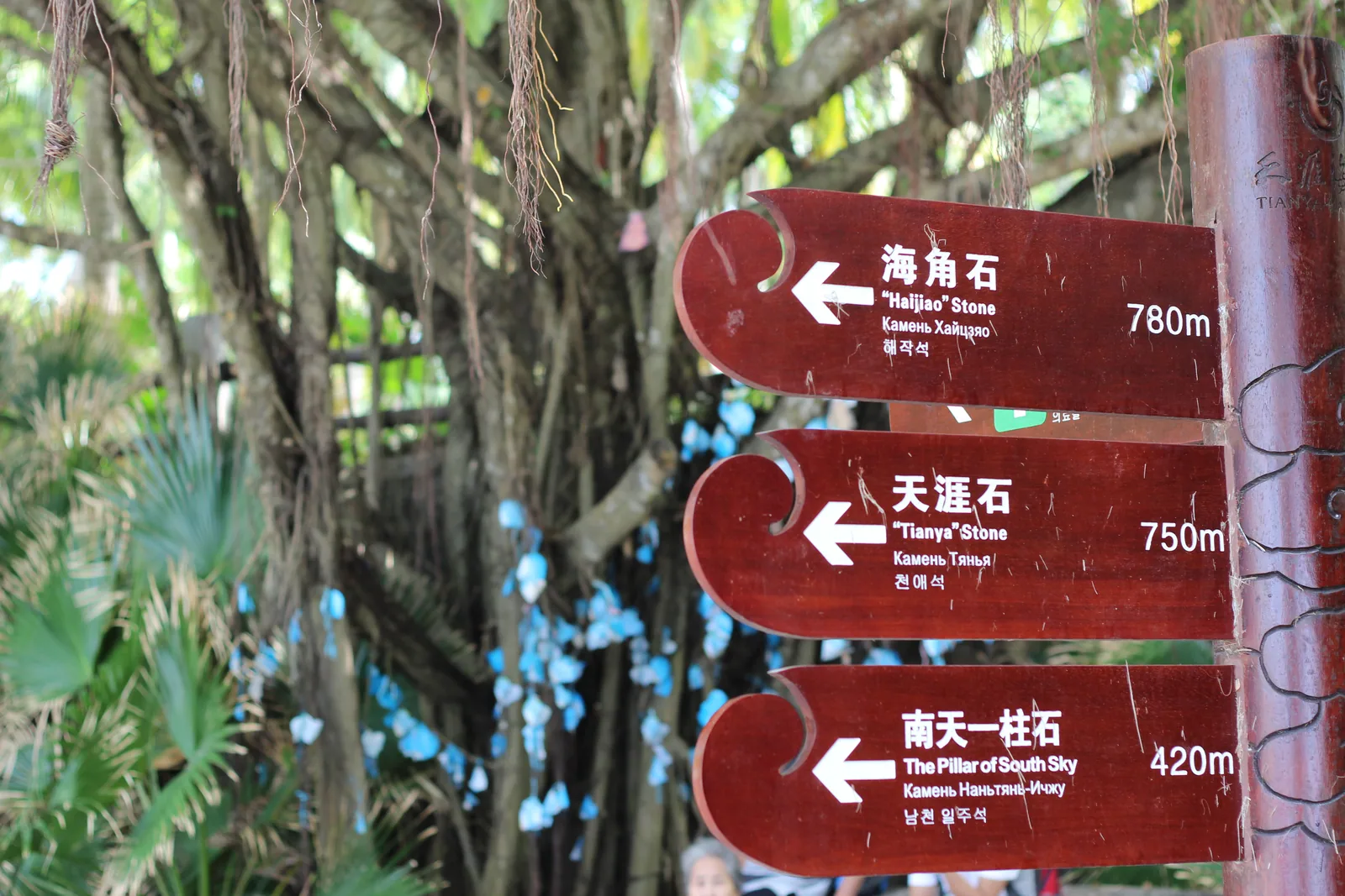2016年12月27日旅行照片 17